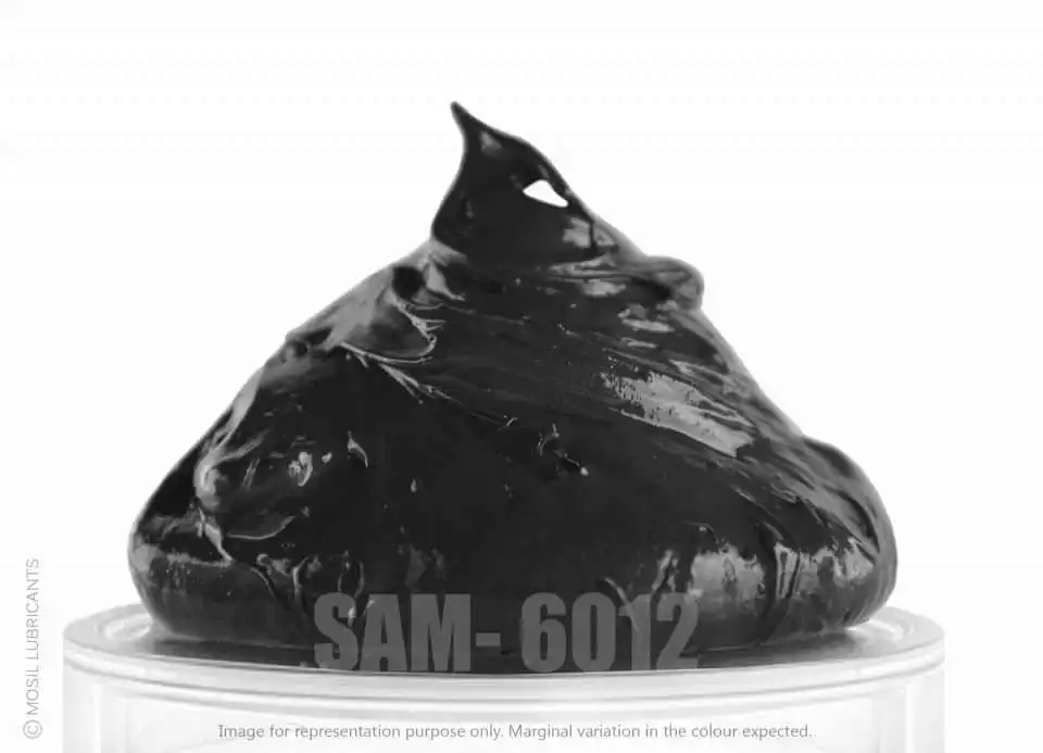 SAM - 6012