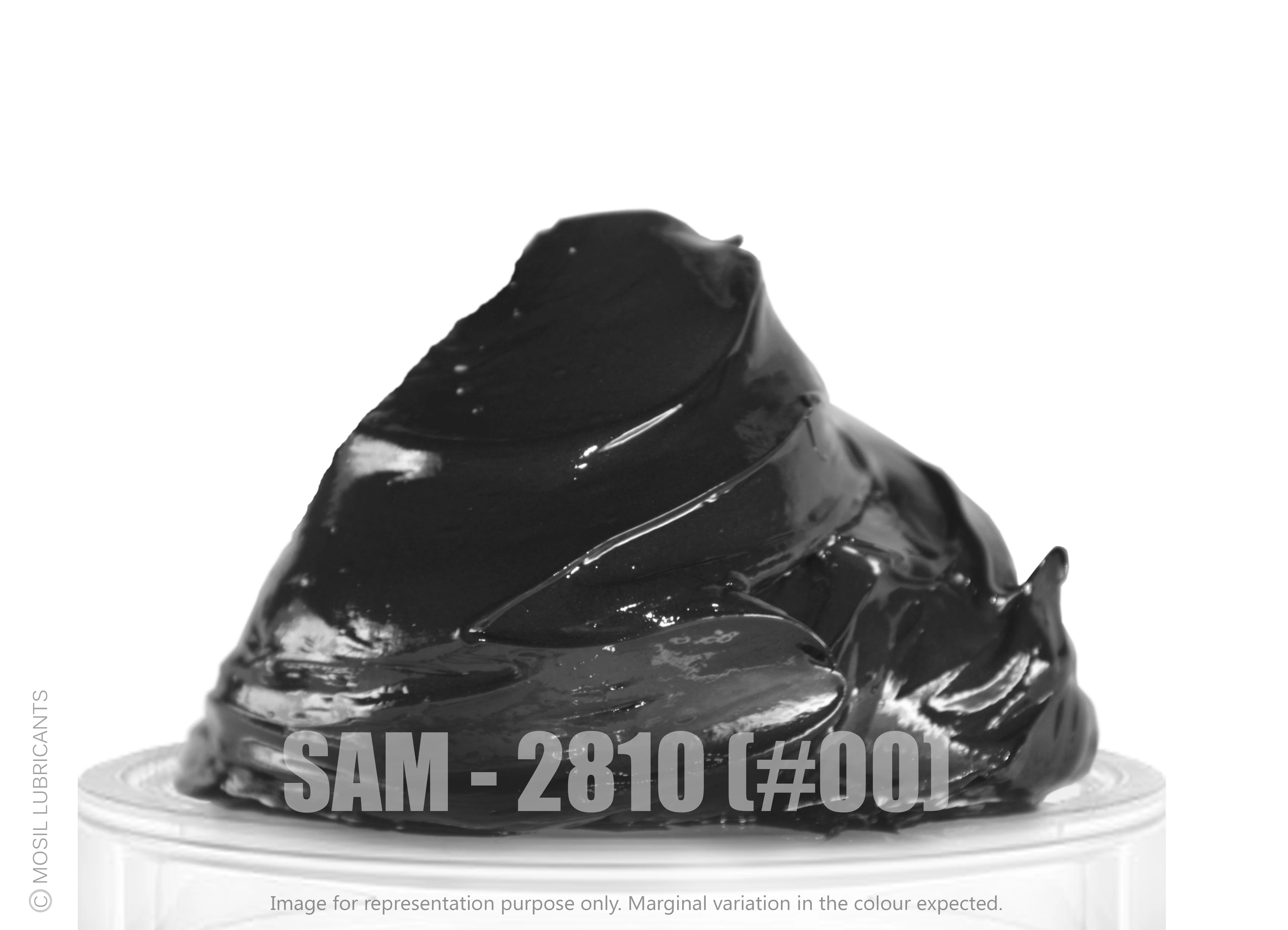 SAM - 2810 (#00)